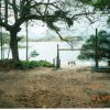 I-PEP-1994-Foto (1)